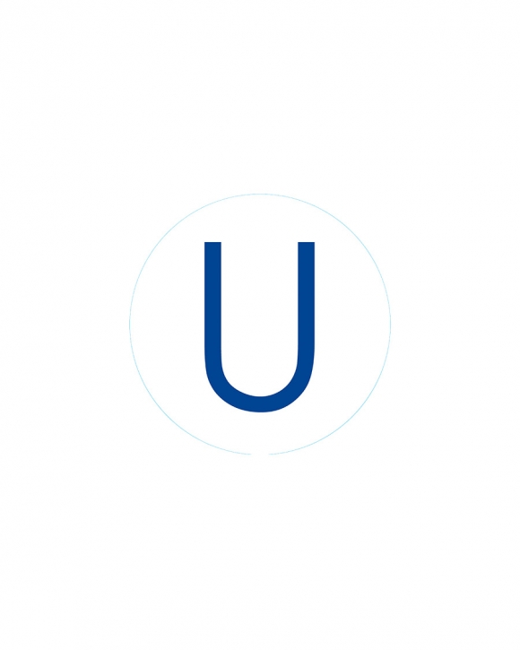 Bogg Bit - Initial "U"