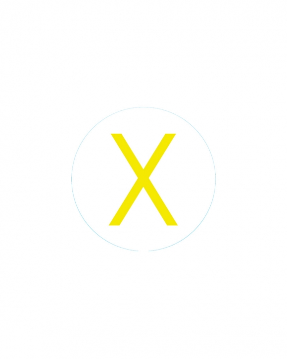 Bogg Bit - Initial "X"